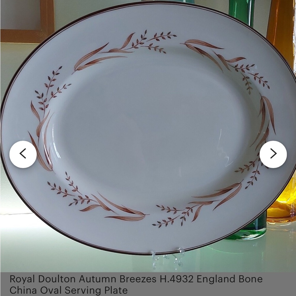 Royal Doulton Autumn Breezes Oval Plate with Brown Accents
